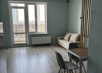 Аренда квартиры студии, 28 м2, Республика Башкортостан, проспект Дружбы Народов, 61/1