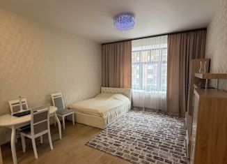 Продается квартира студия, 30.1 м2, Санкт-Петербург, Наличная улица, 26к6, муниципальный округ Гавань