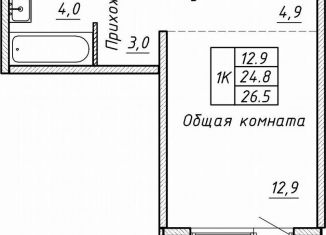 Продаю квартиру со свободной планировкой, 26.5 м2, Новосибирск