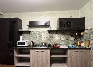 Однокомнатная квартира в аренду, 45 м2, Ульяновск, улица Скочилова, 5