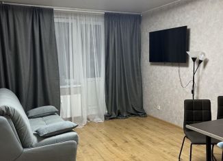 Сдается в аренду квартира студия, 24.4 м2, Колпино, улица Севастьянова, 28к1