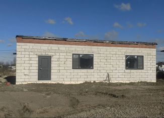 Продам дом, 100 м2, деревня Разметелево