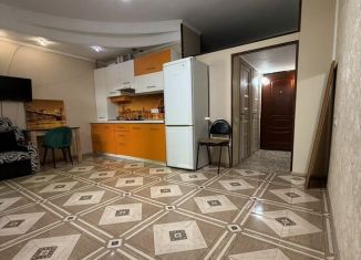 Сдается квартира студия, 40 м2, Сочи, Пластунская улица, 194/4, микрорайон КСМ