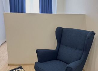 Сдается однокомнатная квартира, 37.8 м2, Санкт-Петербург, Шуваловский проспект, муниципальный округ Коломяги