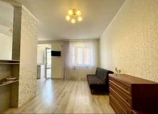 Сдается в аренду 1-комнатная квартира, 32.4 м2, Тульская область, Октябрьская улица, 221/2