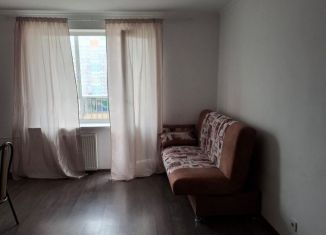 Аренда квартиры студии, 27 м2, Мурино, Екатерининская улица, 10