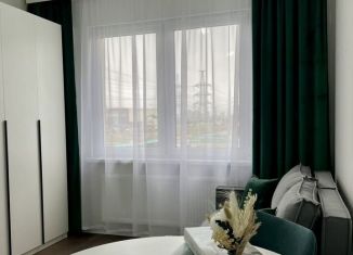Продажа квартиры студии, 19 м2, Санкт-Петербург, Муринская дорога, 31к3, муниципальный округ Полюстрово
