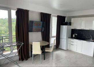 Сдам квартиру студию, 30 м2, Сочи, садоводческое товарищество Сутугинское, 29, микрорайон Совхоз Приморский