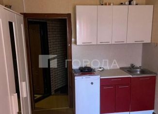 Квартира в аренду студия, 20 м2, Новосибирск, улица Серафимовича, 15, Ленинский район