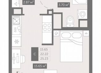 Продается квартира студия, 25.2 м2, посёлок Шушары