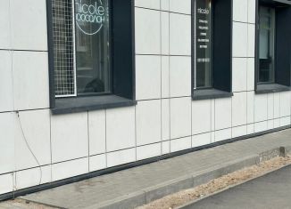 Продажа помещения свободного назначения, 34.8 м2, Санкт-Петербург, метро Зенит, бульвар Александра Грина, 3