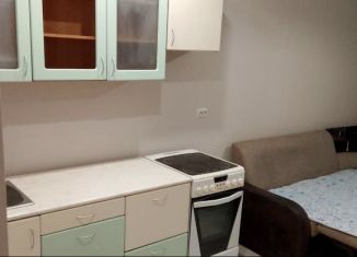 Сдача в аренду квартиры студии, 23 м2, Новосибирск, улица Забалуева, 69, метро Площадь Маркса