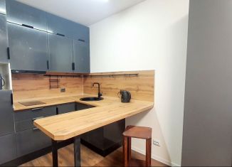 Сдам квартиру студию, 21 м2, Санкт-Петербург, Пейзажная улица, 26, Красногвардейский район