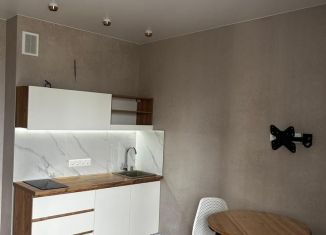 Продам квартиру студию, 24 м2, Новосибирск, Октябрьский район, микрорайон Закаменский, 16