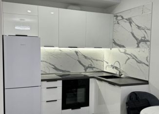 Сдаю в аренду 1-ком. квартиру, 36 м2, Котельники, микрорайон Парковый, 1к7