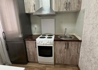 Сдаю 1-ком. квартиру, 30.6 м2, Новосибирск, Красный проспект, 45, Центральный район
