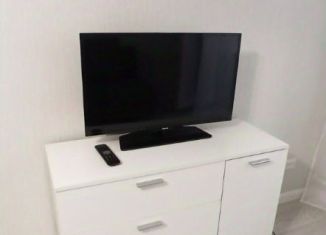 1-ком. квартира в аренду, 29 м2, Новосибирск, улица Титова, 15, Ленинский район