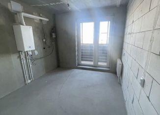 Продается 1-комнатная квартира, 33.3 м2, деревня Перикса, Берёзовая улица, 56