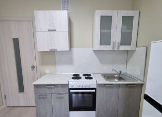 Сдаю квартиру студию, 24 м2, Екатеринбург, Советская улица, 62Б