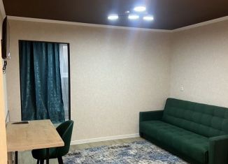 Сдам двухкомнатную квартиру, 25 м2, Москва, Егорьевский проезд, 3Ас1, ЮВАО