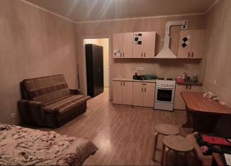 Сдам квартиру студию, 28 м2, посёлок Шушары, Валдайская улица, 6к2