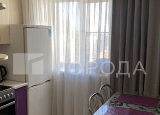 Сдается в аренду 2-ком. квартира, 42 м2, Новосибирск, улица Некрасова, 61, Центральный район