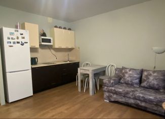 Сдается квартира студия, 26 м2, Тюмень, улица Червишевский Тракт, 45, Восточный округ