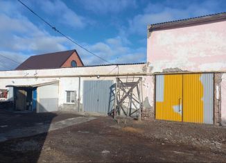 Сдается в аренду производство, 1000 м2, Новосибирская область, Красноярская улица, 62