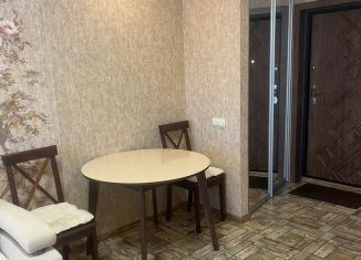 Сдам в аренду квартиру студию, 30 м2, Новосибирск, Оловозаводская улица, 6/1, Кировский район