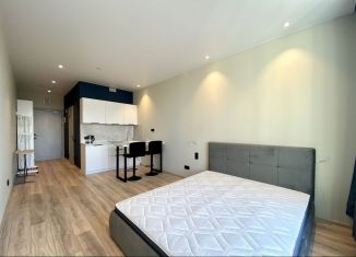 Сдаю квартиру студию, 26 м2, Санкт-Петербург, проспект Энергетиков, 8к2, метро Ладожская