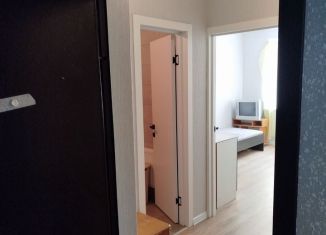 Сдаю квартиру студию, 23 м2, Краснодар, улица Лётчика Позднякова, 2к23