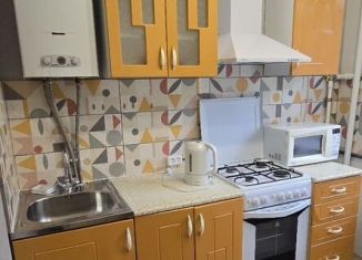 1-комнатная квартира в аренду, 30.5 м2, Санкт-Петербург, Бассейная улица, 11, Московский район