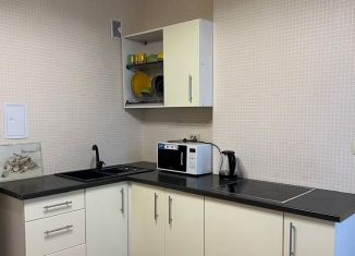 Продается 1-комнатная квартира, 43.3 м2, Екатеринбург, улица Циолковского, 29, метро Геологическая