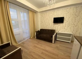 Продается квартира студия, 28 м2, Сочи, Виноградная улица, 89/3, микрорайон Новый Сочи