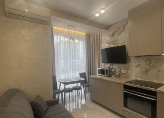 Сдаю 1-комнатную квартиру, 25 м2, Сочи, Ясногорская улица, 16/8к2, микрорайон Бытха