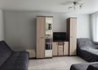 Продам 1-комнатную квартиру, 28.1 м2, Екатеринбург, улица Серафимы Дерябиной, 53
