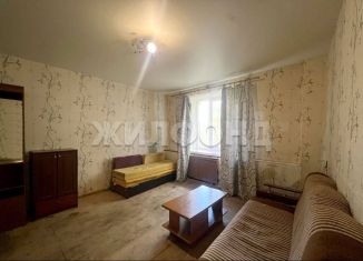 Продажа 1-комнатной квартиры, 29 м2, Новосибирск, Национальная улица, 7, метро Золотая Нива
