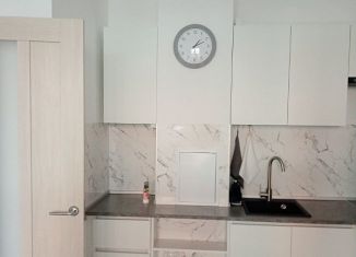 Сдается однокомнатная квартира, 31.5 м2, Санкт-Петербург, Плесецкая улица, 10, Приморский район