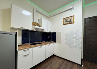 Аренда квартиры студии, 25 м2, Санкт-Петербург, Железнодорожный проспект, 14к1, Невский район