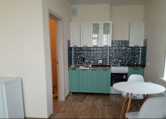 Квартира в аренду студия, 29 м2, Новосибирск, улица Бородина, 54, Кировский район