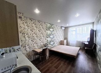 Продается квартира студия, 29.9 м2, посёлок Российский, Измаильская улица, 13