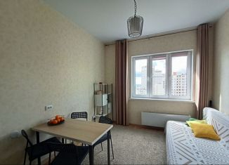 Квартира на продажу студия, 19.8 м2, Нижний Новгород, улица Героя Жидкова, 2, Советский район
