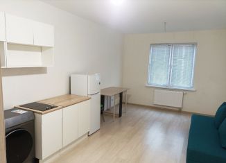 Сдам в аренду квартиру студию, 28 м2, Екатеринбург, улица Евгения Савкова, 19А, метро Чкаловская