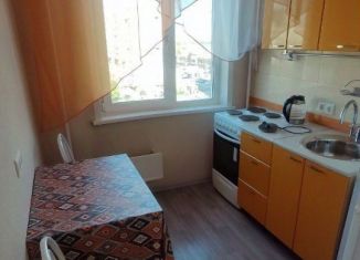 Сдаю в аренду однокомнатную квартиру, 30 м2, Новосибирск, улица Селезнёва, 33А, Центральный район