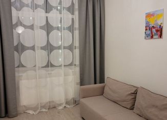 Сдаю в аренду квартиру студию, 26 м2, Мурино, Ручьёвский проспект, 15