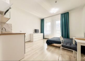 Сдаю в аренду квартиру студию, 24 м2, Санкт-Петербург, Торфяная дорога, 15к1, Приморский район
