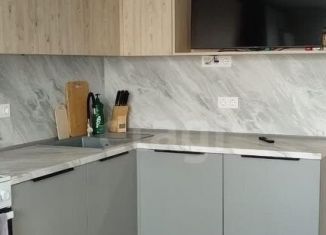 Сдается в аренду 2-ком. квартира, 64 м2, Ростов-на-Дону, переулок Поленова, 21/10, ЖК Платовский