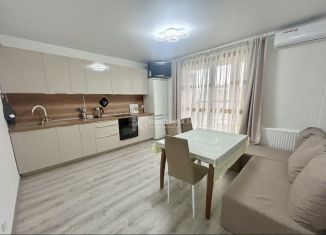 Сдаю 2-ком. квартиру, 40.5 м2, Челябинская область, улица имени Капитана Ефимова, 3
