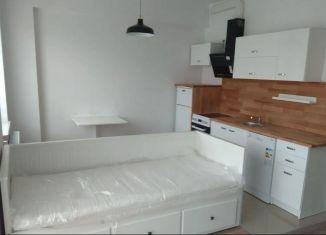 Продается квартира студия, 26.4 м2, Санкт-Петербург, Пахомовская улица, 21, муниципальный округ Полюстрово
