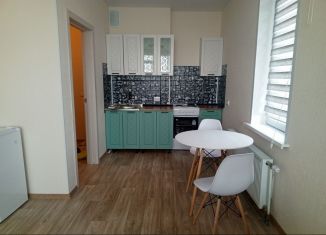 Квартира в аренду студия, 29 м2, Новосибирск, улица Бородина, 54, Кировский район